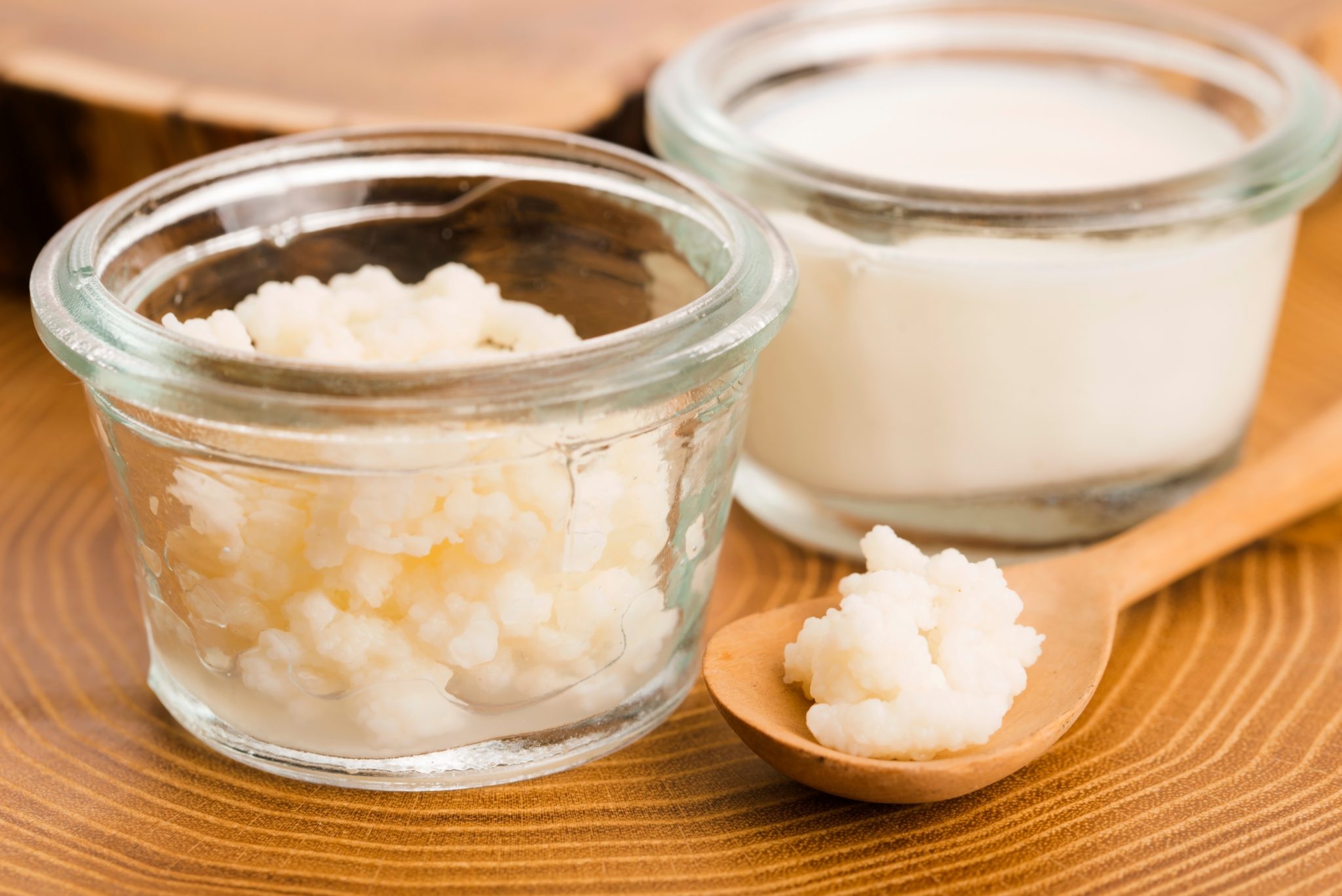 Milk Kefir Grains CulturesforHealth Kefir pk