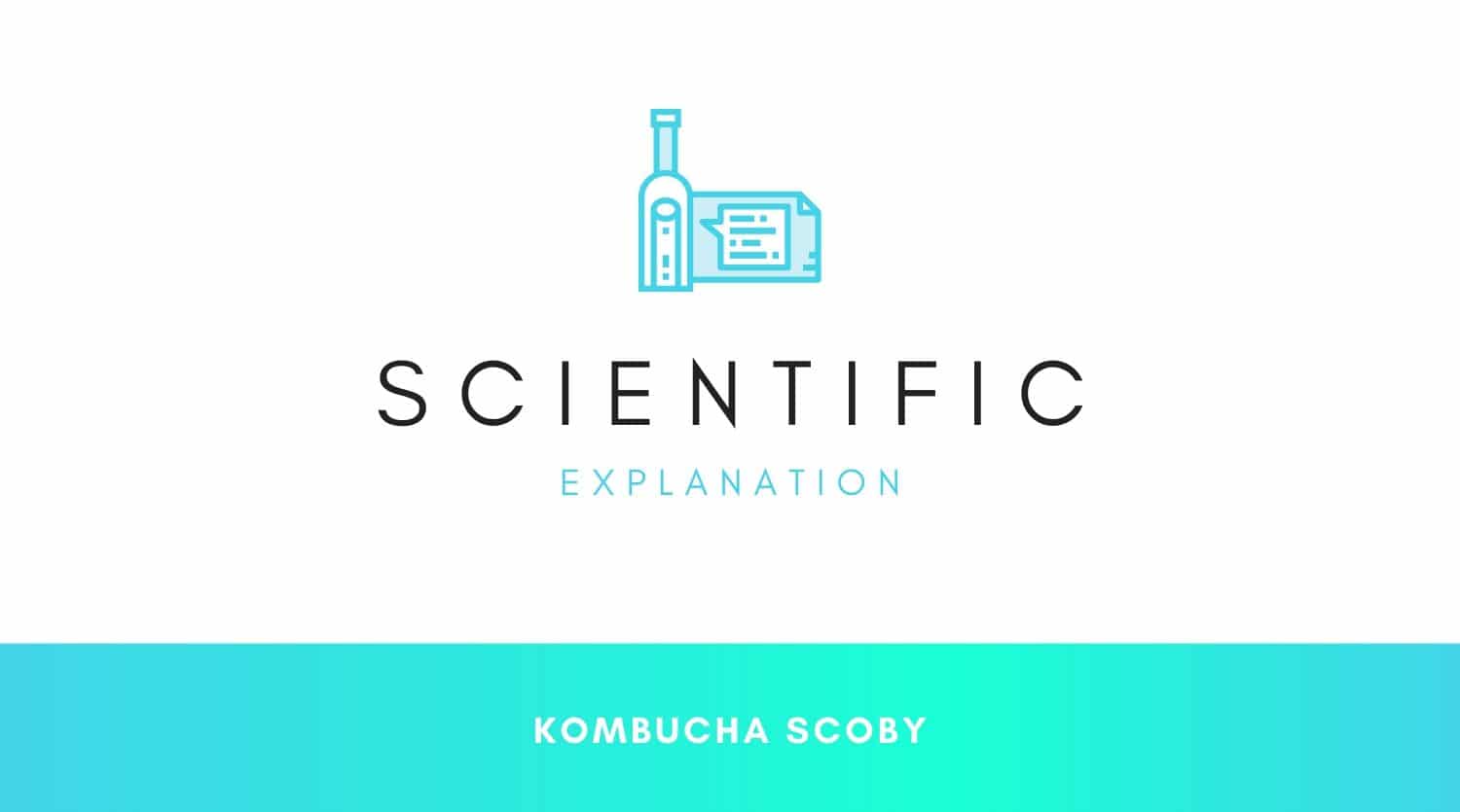 Scientific View of Kombucha