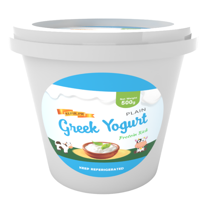 Greek Yogurt 500g | Kefir.pk