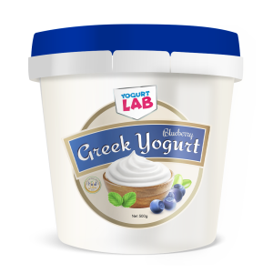 Greek Yogurt Blueberry