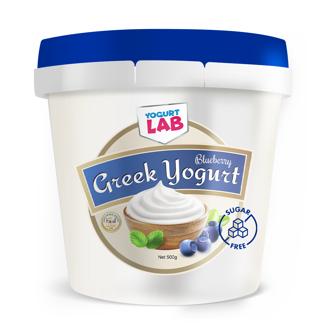 Greek Yogurt-blueberry-sugarfree